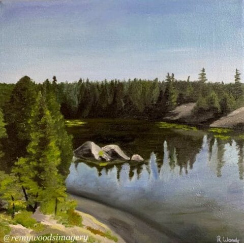 Remy Woods | Canadian Oil Painting Artist